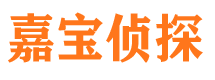 鱼峰侦探公司